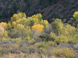2008Fallcolors-40
